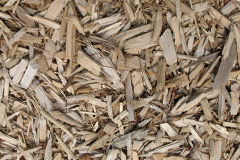 biomass boilers Wenvoe